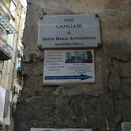 Appartement Lisa's House